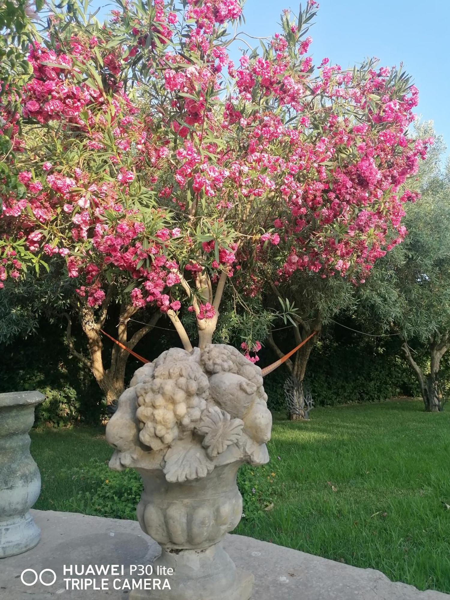 Oasi Di Campagna Hotel Modica Kültér fotó
